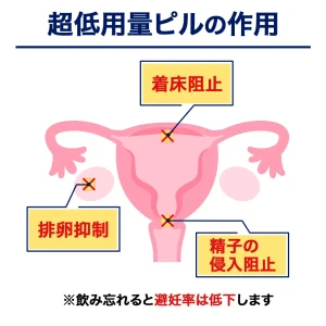 ヤーズ画像9