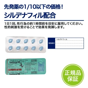 センフォース画像4