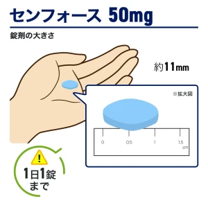 センフォース画像5