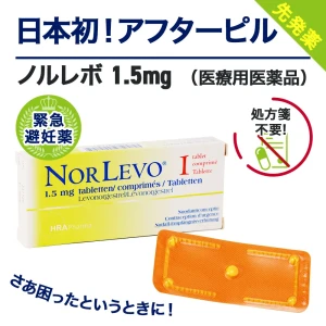 ノルレボ画像5