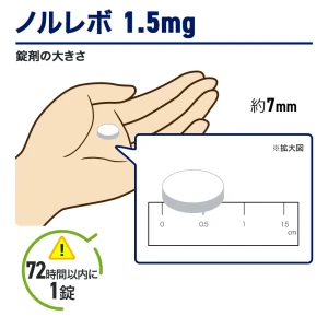 ノルレボ画像7