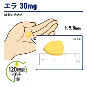 エラ画像4