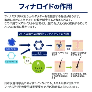 フィナロイド画像9