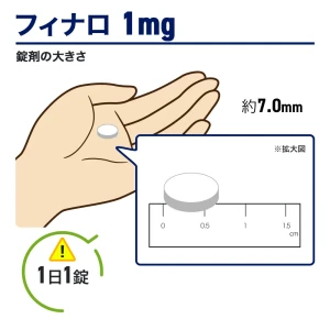 フィナロ画像7