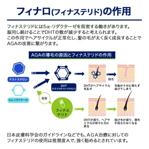 フィナロ画像9