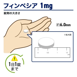 フィンペシア画像7