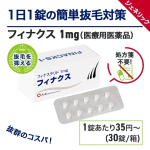 フィナクス画像5