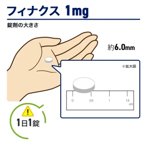 フィナクス画像7