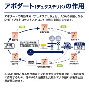 アボダート画像9