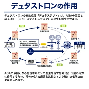 デュタストロン画像9