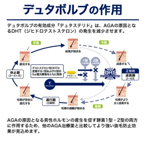 デュタボルブ画像9