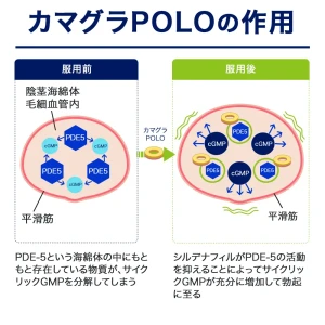 カマグラPOLO画像9