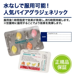 カマグラチュアブル画像6