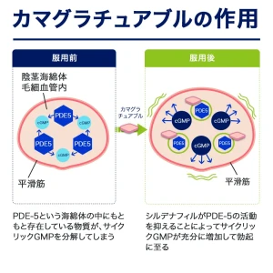 カマグラチュアブル画像9