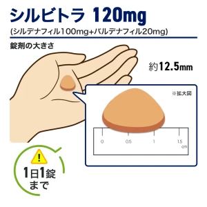 シルビトラ画像5