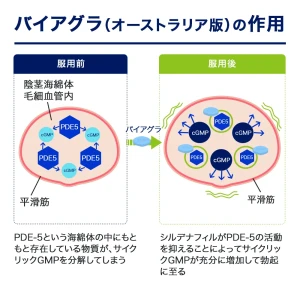 バイアグラ（オーストラリア版）画像8