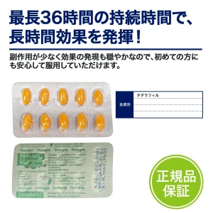 タダグラソフト画像4