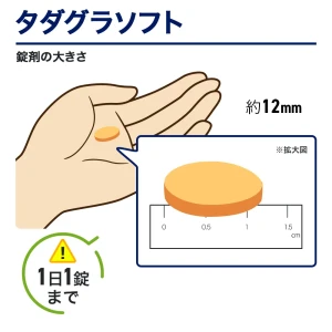 タダグラソフト画像5