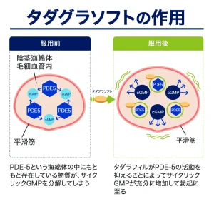 タダグラソフト画像6