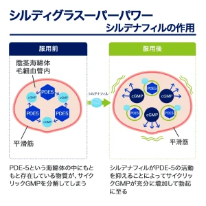シルディグラスーパーパワー画像8