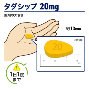タダシップ画像7