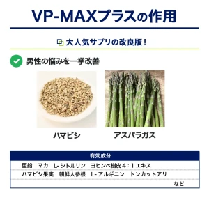 VP-MAXプラス画像6