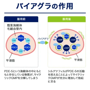 バイアグラ50mg画像9