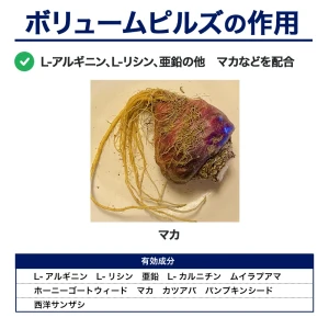 ボリュームピルズ画像8
