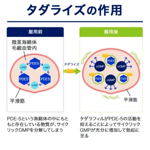 タダライズ画像5