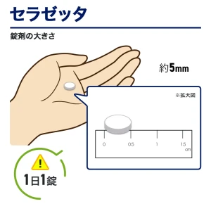 セラゼッタ画像8